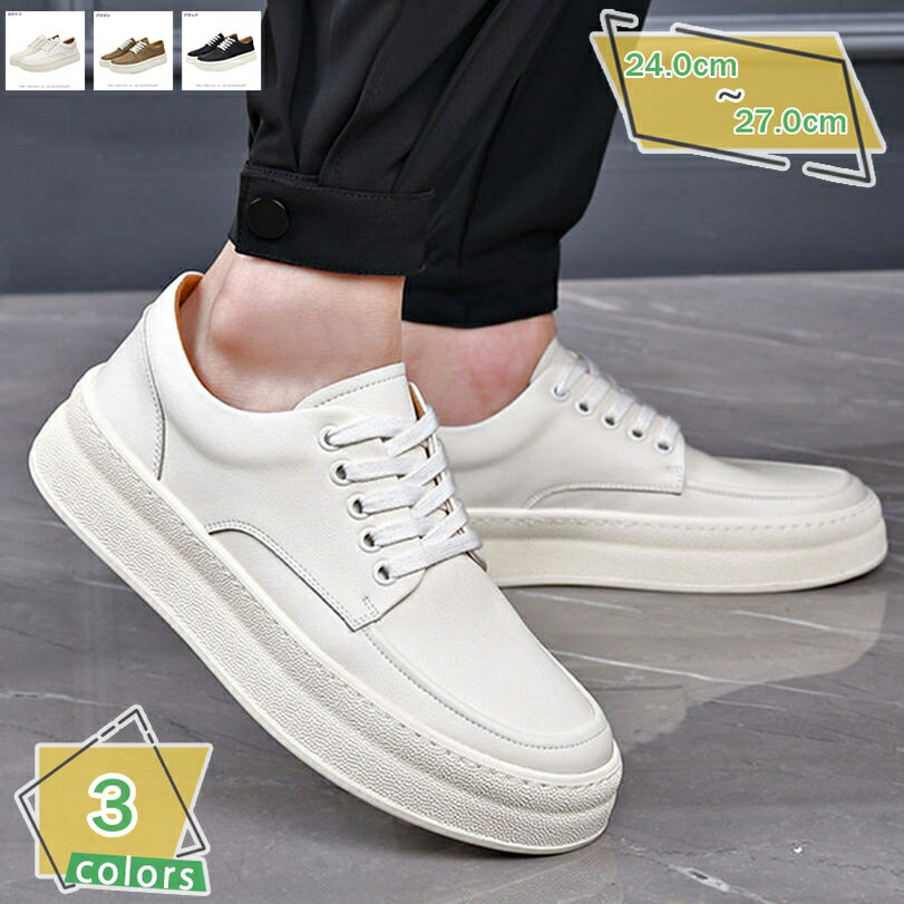 2000OFFݥ »η ׷  ӥͥ塼 󥺷 졼å 奢륷塼  å 礭  跤 ե...