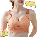300円OFFクーポン ブラジャー 大きいサイズ フルカップ セクシー ランジェリー ノンワイヤー ブラジャー 育乳ブラ 昼夜兼用 フラワーレース 総レース 補...