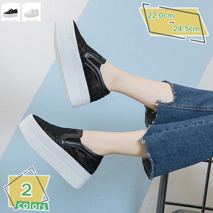 1600OFFݥ ǥ ѥץ ҡ å    塼 åҡ ƩĦ ̵ ä ...