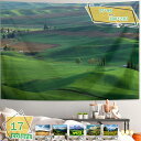 760円OFFクーポン タペストリー 自然風景 野原 芝生 青空と浮遊する白い雲 壁掛け インテリア 癒し 布製ポスター 雰囲気転換 おしゃれ ウォールアート 壁飾り 部屋飾り お店 雑貨 寝室 居間 寮 マンション 風景写真 横長 RaogtCYU