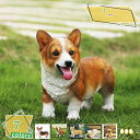 500円OFFクーポン 北欧雑貨 動物インテリア おしゃれ かわいい 犬 樹脂材質 ハンドメイド ドッグ アニマルオブジェ インテリア雑貨 コーギー パグ 本物そっくり 高級 樹脂飾り ガーデン雑貨 おもしろい置物 玄関におく置き物 犬の彫像 RaogtCYU