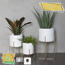 3500円OFFクーポン フラワースタンド アイアン シンプル植木鉢 室内用フラワースタンド ホワイト 観葉植物 植木鉢スタンド インテリア 3点セット 花台 棚 リビングルームインテリア用品 観賞用植木鉢カバー 使いやすいガーデニングスタンド RaogtCYU
