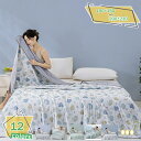 760円OFFクーポン 夏掛け布団 夏用掛け布団 シングル 通気 軽量 夏布団 柔らかい肌 夏用 肌掛け布団 冷房対策 柔らかい肌触り 吸湿速乾 掛け布団 抗菌防臭 防ダニ 洗える 柔らかい 夏ふとん 春夏秋 肌掛け 通気性良好 接触冷感 エアコン対策夏用布団 RaogtCYU