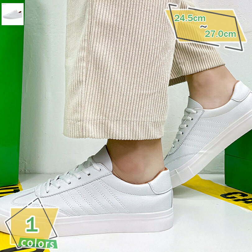 1000OFFݥ  ǥå塼  ȥܡɥ塼  »η 졼å 奢륷塼   ̶ ̳ ...