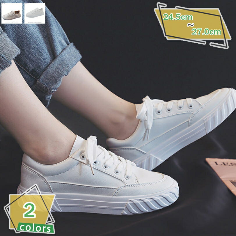 1000OFFݥ 奢륷塼 ˡ ǥå塼  å  졼å ̶  ɳ åȥˡ ...