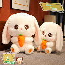 ぬいぐるみ 抱き枕 抱きまくら かわいい 可愛い 柔らかい ふわふわ 飾り 癒しグッズ クッション 置物 お誕生日 クリスマス ギフト 贈り物 インテリア 女子 気持ちいい 安眠グッズ RaogtCYU