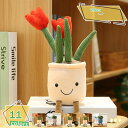 300円OFFクーポン 植物ぬいぐるみ 多肉 笑顔 部屋飾り 観葉植物 かわいい置物 柔らかい 萌え萌え キュート 女の子ギフト 誕生日プレゼント 贈り物 女性...