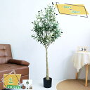2000円OFFクーポン 人工観葉植物 大型人工植物 人工木 ホーム デコレーション 屋内用 フフィグツリー 人工観葉植物 装飾 オフィス カフェ 店舗の内装 モデルルーム ホテル 簡単保護 室内 家庭用 日よけバルコニー フェイクツリー 熱帯観葉樹 RaogtCYU