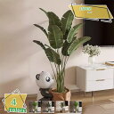 3500円OFFクーポン 人工観葉植物 大型 観葉樹 インテリア装飾 簡単保護 モダン オフィス ホーム 室内 家庭用 日よけバルコニー デコレーション 引越しギフト フェイクグリーン 繊細な質感 本物そっくり人工観葉植物 常緑樹 パンダ型の植木鉢 RaogtCYU
