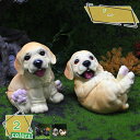1600円OFFクーポン イヌの置物 オーナメント 犬 子犬 動物 可愛い オブジェ アニマルオブジェ 庭に置く 芝生 装飾 ガーデン ガーデニング 置物 縁起物 雑貨 小さめ ナチュラル 飾り物 リアルな犬 ディスプレィ 部屋装飾品 車飾り 室内 階段 園庭 RaogtCYU