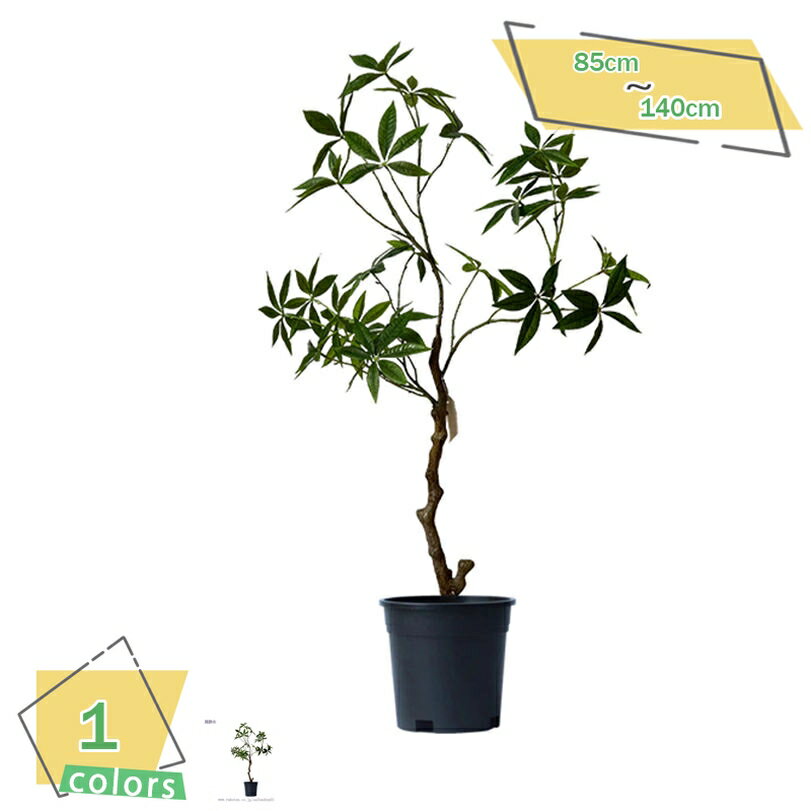 フェイクグリーン 大型 おしゃれ 観葉植物 フェイク グリーン ナチュラル 鉢植え モンステラ お祝い 新築 開店 開業 祝い 誕生日 イベント ディスプレイ 幸福 幸せ ボタニカル リゾート フェイクグリーン 大型 観葉植物 RaogtCYU