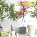 大型 人工観葉植物 フェイクグリーン 水やり不要 肥料不要 枯れない インテリア装飾 おしゃれ 大型観葉樹 インテリア 簡単保 室内 家庭 日よけバルコニー 現代的な装飾 引越しのギフトに最適 フェイクツリー 人工観葉植物 RaogtCYU