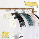 777円OFFクーポン ハンガー すべらない 跡がつかないハンガー 10本 型崩れ防止 かたくずれ防止 はんがー 洗濯ハンガー 省スペース スーツハンガー ブラ...
