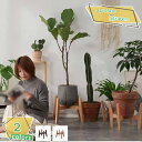 プランタースタンド 花台 フラワースタンド 鉢スタンド 鉢植え ラック 観葉植物 木の色 フラワー スタンド 木製 室内 天然木 鉢台 花瓶台 鉢置き フラワー...