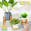 760円OFFクーポン フラワースタンド 室内 木製 プランタースタンド 観葉植物 フラワースタンド 屋外 ベランダ 植木鉢台 花台 植木鉢台 鉢置き台 原木色...