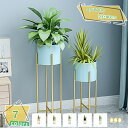 おしゃれ ゴールド プラントスタンド 室内 アイアン 屋内 シンプル 玄関 植木鉢スタンド インテリア プランター台 フラワースタンド ガーデニング 花台 屋外...