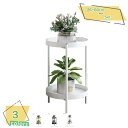 2000円OFFクーポン フラワースタンド プランタースタンド屋内の植物スタンド 2段式 花台 植物棚 屋外室内 玄関 棚 鉢スタンド おしゃれ 観葉植物 トホ...