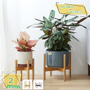 500円OFFクーポン 鉢 花台 植木鉢スタンド 天然竹製 植物棚 フラワースタンド ウッドスタンド プランタースタンド 頑丈 屋内 鉢スタンド ホームガーデン...