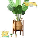 ポット スタンド 鉢 観葉植物 フラワースタンド 38×32cm 天然木 観葉植物 室内 鉢台 北欧 木製 植木鉢台 インテリア ウッドスタンド フラワーポット...