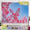 777円OFFクーポン 桜花タペストリー 自然景色 桜 さくら ロマンチック エレガント 桃の節句 花祭り 花見 多機能 毛布 おしゃれ 壁掛け インテリア フ...