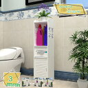 760円OFFクーポン トイレ収納 ペーパー ティッシュ収納 玄関収納 便利 スリム ホワイト おしゃれ 組み立て式 工具不要掃除用具収納 サニタリー収納 サニ...