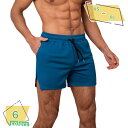 メンズ ショートパンツ ハーフパンツ 3分丈 ドライ 短パン ズボン スポーツウェア ジムウェア 夏 軽量 通気速乾 ランニングパンツ ルームウェア 運動着 ウエストゴム 春夏 RaogtCYU