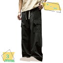1000円OFFクーポン ワイド カーゴパンツ メンズ 大きいサイズ ワイドカーゴ ゆったり パンツ ストリート カジュアル サルエルパンツ ワイドパンツ リラックスパンツ 韓国 春服 メンズ 秋服 速乾 通気 カジュアル シンプル 大きいサイズ RaogtCYU