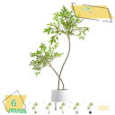 1600円OFFクーポン フェイクグリーン 南天竹風 人工観葉植物 室内用 インテリアグリーン おしゃれ 鉢付き ナチュラル モダン・北欧・クリーム インテリアに最適 枯れない リビングや玄関にぴったり 高さ約120CM RaogtCYU