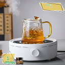 耐冷耐熱 ガラス製冷水ポット 高ホウ素ガラス 紅茶ポット ジャグ 麦茶ポット デザイン 省スペース 茶器 茶こし付 ハーブウォーター ガラス急須 フルーツ水 飲...