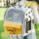 500円OFFクーポン お出かけペットキャリーバッグ ペットキャリーリュック ペットバッグ ペットリュック 猫 犬 いぬ ねこ ネコ バック メッシュ窓 折り畳...