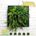 人工観葉植物 壁掛け 3D立体 室内 枯れない 多肉植物 サボテン ナチュラル おしゃれ 寄せ植え ウォールグリーン フェイクグリーン インテリア雑貨 北欧風 壁掛け デコレーション 人工多肉植物 ギフト RaogtCYU