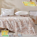 4重 夏寝具 ガーゼケット タオルケット ふとん シングル 掛け布団 肌布団 夏布団 可愛い セミダブル ダブル 肌掛け布団 ブランケット お昼寝 冷房対策 保...