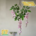 壁掛け 人工観葉植物 造花 バラの花 壁掛け フェイクグリーン 観葉植物 壁掛け 藤飾り ホーム オフィス 玄関 結婚式 パーティー アイビー 壁掛け 籐の葉 ...