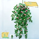 1600円OFFクーポン フェイクグリーン 人工観葉植物 壁掛け イルミネーション アイビー 模造植物 壁の装飾 フェイクグリーン インテリア 造花 ぶら下げバスケット ベランダ 目隠し 壁掛け デコレーション プラスチック 壁掛け 観葉植物 RaogtCYU