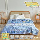 夏掛け布団 コットン 薄かけ布団 ストライプ柄 夏布団 掛け布団 シングル 涼感快眠 夏用 肌掛け布団 軽量 吸湿 速乾 肌布団 キルトケット リバーシブル はだかけ布団 夏ふとん かけふとん 抗菌防臭 通気性 洗える ソフトタッチ RaogtCYU