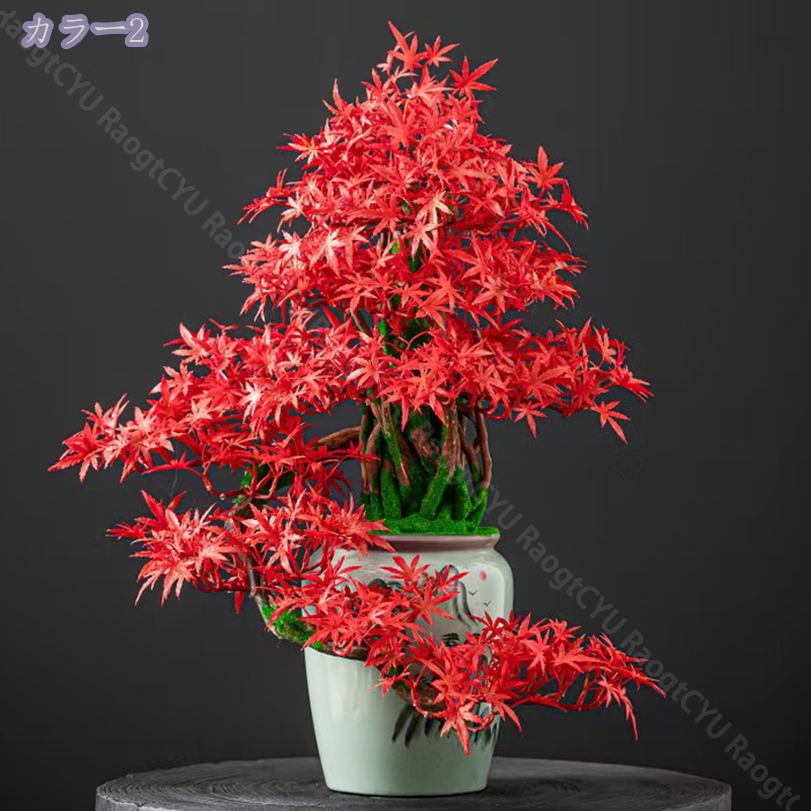 �����ޤ� �͹����տ�ʪ �����ʪ �ե��������꡼�� �����դ� ��ʪ���ä��� Ĺ�������� �ޤγ���Ĵ����ǽ ������������ �Ϥ�ʤ� DIY���� ���ۤ��ˤ� ���۽ˤ� Ź�޾��� ���࿧ �Ѹ� ������ʪ RaogtCYU