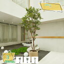 3500円OFFクーポン フェイクグリーン 人工観葉植物 大型 おしゃれ インテリア 造花 お手入れ不要 リビング 部屋に置く植物 フェイクグリーン お部屋 インテリア 大型観葉植物 おしゃれ ナチュラル 鉢植え 常緑樹 風水 引っ越し祝い プレゼント RaogtCYU
