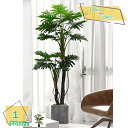 1600円OFFクーポン 大型 人工観葉植物 フェイクグリーン パキラ 高さ120cm 高さ150cm 造樹 観葉樹 インテリアグリーン オフィス ホーム 室内 デコレーション 水やり不要 枯れない 本物そっくり 目隠し 装飾用 人工観葉樹 フェイクツリー RaogtCYU
