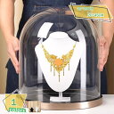1000円OFFクーポン 透明ガラスカバー 大容量 展示ケース 首飾りスタンド 陳列ラック アクセサリー用 化粧品 ジュエリー 模型展示用 台座ディスプレイ イ...