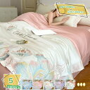 夏用 接触冷感 リバーシブル 冷涼 ブランケット 掛け布団 シングル・ダブルサイズ 肌ざわり滑らか 通気性と快適さを両立し 夏の寝具 軽量 収納簡単 一人暮らし 家庭用に最適 夏寝具 RaogtCYU