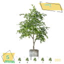 3500円OFFクーポン 大型 フェイクグリーン ガジュマルツリー リビング ショップ装飾 人工観葉植物 造花 インテリア 風水金運アップ 大型落地式 鉢付き 現代的な装飾 リビング オフィス 店舗ディスプレイ ガジュマル RaogtCYU