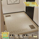 1600円OFFクーポン 玄関マット 室内 北欧 風水 屋内 薄い 洗える おしゃれ かわいい サラサラ 滑り止め かわいい エントランス 北欧 幾何学 玄関ラ...