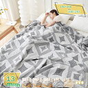 760円OFFクーポン 3重ガーゼケット 綿100% ダブル ガーゼ 夏掛け布団 夏ふとん ケット コットン ブランケット 薄手 通気性 吸水性 やわらか肌触り 丸洗いOK 夏 夏用 寝具 やさしい肌触り ガーゼケット 3重ガーゼ 綿100% 肌布団 快眠 母の日 プレゼント ギフト RaogtCYU