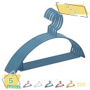 300円OFFクーポン ハンガー ズボン洗濯 20本組 30本組 洗濯収納 物干しハンガー 型崩れしない 衣類ハンガー tシャツハンガー シングルパンツ 洋服 ...