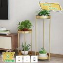 1000円OFFクーポン フラワースタンド プランタースタンド 2段 フラワーラック 観葉植物 鉢置きスタンド アイアン 花棚 植物棚 盆栽棚 花台 室内屋外 ...