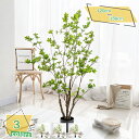 3500円OFFクーポン 人工観葉樹 人工観葉植物 フェイクグリーン 大型 本物そっくり シンプル おしゃれ 世話いらず 水やり不要 オフィス 室内 リビング ...