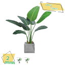 3500円OFFクーポン 観葉植物 フェイクグリーン 常緑樹 大きい 鉢付き 人工観葉植物 造木 リアル 人工観覧植物 人工観葉樹 シンプル リアル 室内 屋内...
