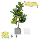 1000円OFFクーポン フェイクグリーン 大きい 人工観葉植物 鉢植え おしゃれ ホテル インテリア 店舗 お店 エントランス 会議室 緑化 職場 環境改善 ...