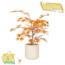 3500円OFFクーポン 人工観葉植物 もみじ フェイク大型 観葉植物 紅葉 赤 和風 ガーデニング 造園 庭園 坪庭 インテリア おしゃれ 室外 室内 カエデ...