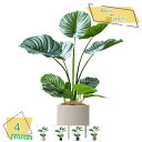 3500円OFFクーポン 人工観葉植物 大きい 本物そっくり 目隠し フェイクグリーン 大型 人工植物 インテリア 人工観葉植物 フェイク葉 リビング 人工植物...
